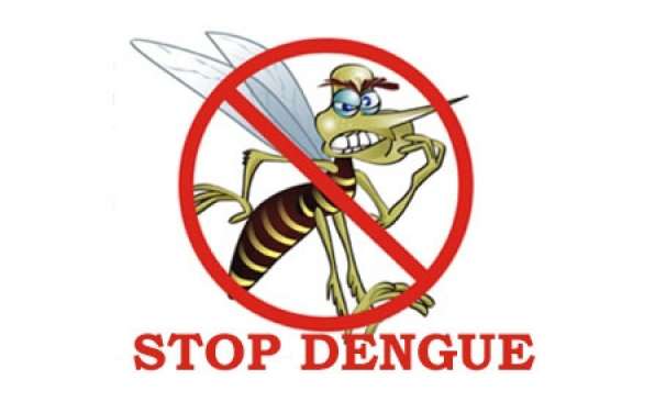 dengue resized